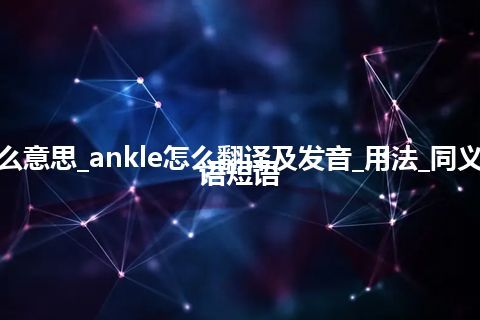 ankle是什么意思_ankle怎么翻译及发音_用法_同义词_例句_英语短语