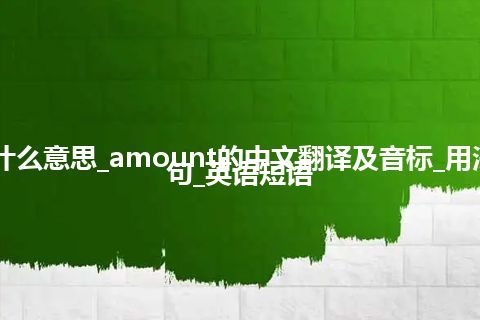 amount是什么意思_amount的中文翻译及音标_用法_同义词_例句_英语短语