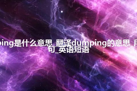 dumping是什么意思_翻译dumping的意思_用法_例句_英语短语