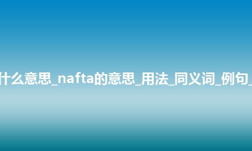 nafta是什么意思_nafta的意思_用法_同义词_例句_英语短语