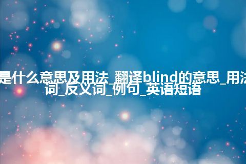 blind是什么意思及用法_翻译blind的意思_用法_同义词_反义词_例句_英语短语