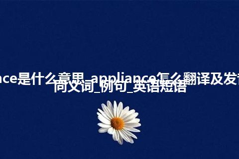 appliance是什么意思_appliance怎么翻译及发音_用法_同义词_例句_英语短语