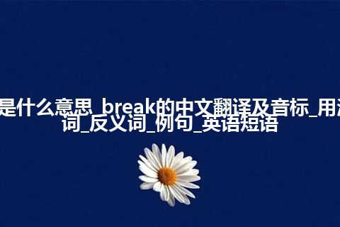 break是什么意思_break的中文翻译及音标_用法_同义词_反义词_例句_英语短语