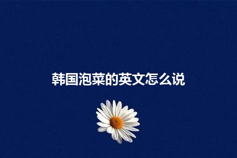 韩国泡菜的英文怎么说