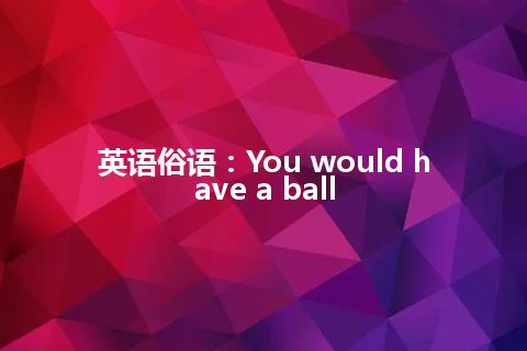 英语俗语：You would have a ball