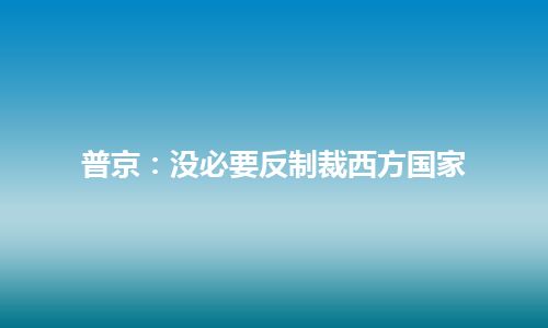 普京：没必要反制裁西方国家