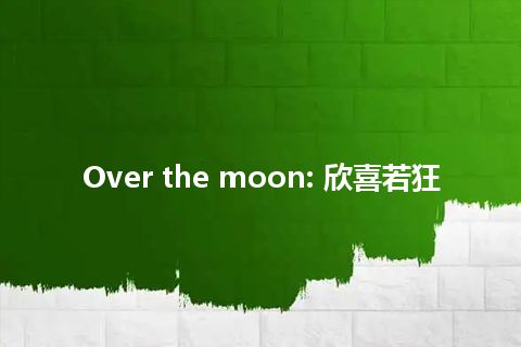 Over the moon: 欣喜若狂