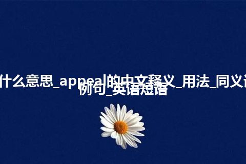 appeal是什么意思_appeal的中文释义_用法_同义词_反义词_例句_英语短语