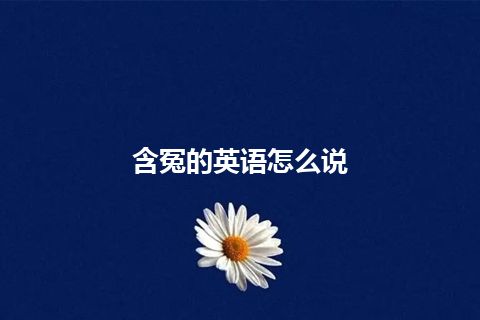 含冤的英语怎么说