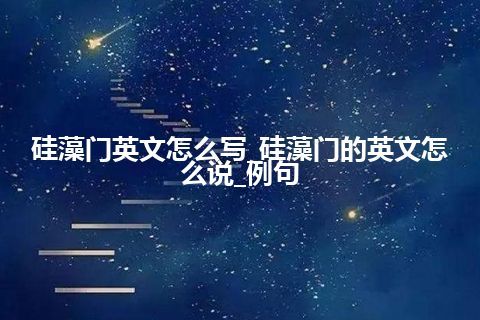 硅藻门英文怎么写_硅藻门的英文怎么说_例句