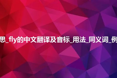 fly是什么意思_fly的中文翻译及音标_用法_同义词_例句_英语短语