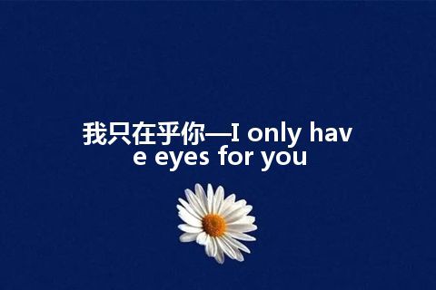 我只在乎你—I only have eyes for you