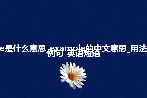 example是什么意思_example的中文意思_用法_同义词_例句_英语短语