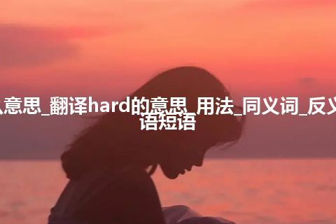 hard是什么意思_翻译hard的意思_用法_同义词_反义词_例句_英语短语