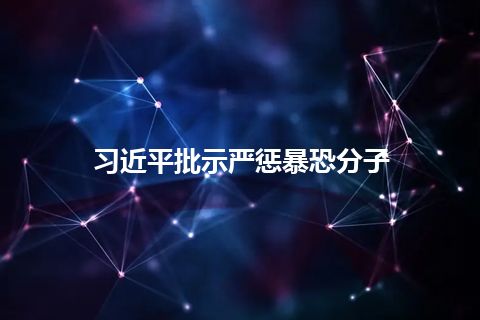 习近平批示严惩暴恐分子