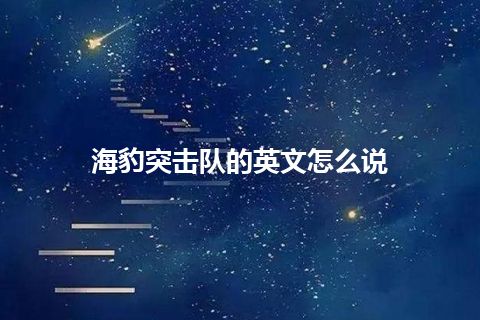 海豹突击队的英文怎么说