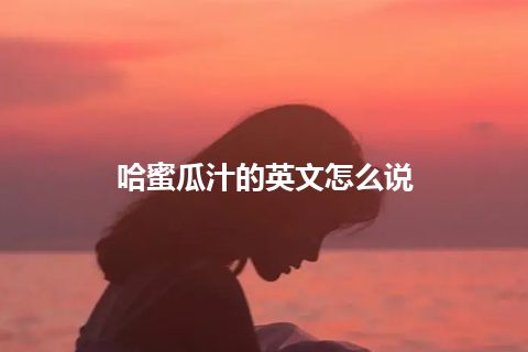 哈蜜瓜汁的英文怎么说