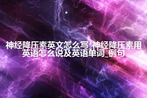 神经降压素英文怎么写_神经降压素用英语怎么说及英语单词_例句