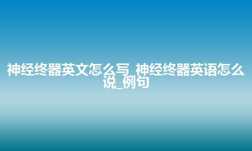 神经终器英文怎么写_神经终器英语怎么说_例句