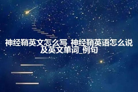 神经鞘英文怎么写_神经鞘英语怎么说及英文单词_例句