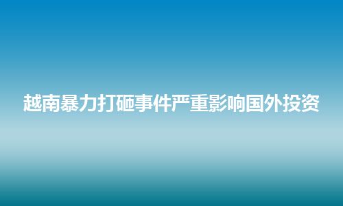 越南暴力打砸事件严重影响国外投资