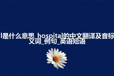 hospital是什么意思_hospital的中文翻译及音标_用法_同义词_例句_英语短语