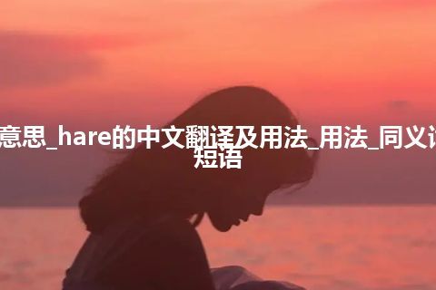 hare是什么意思_hare的中文翻译及用法_用法_同义词_例句_英语短语