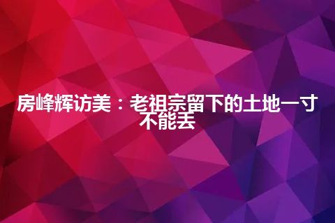 房峰辉访美：老祖宗留下的土地一寸不能丢