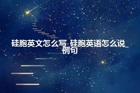 硅胞英文怎么写_硅胞英语怎么说_例句