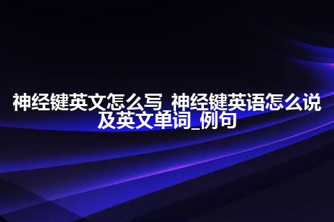 神经键英文怎么写_神经键英语怎么说及英文单词_例句