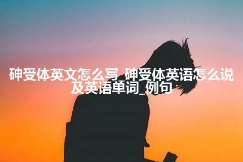 砷受体英文怎么写_砷受体英语怎么说及英语单词_例句