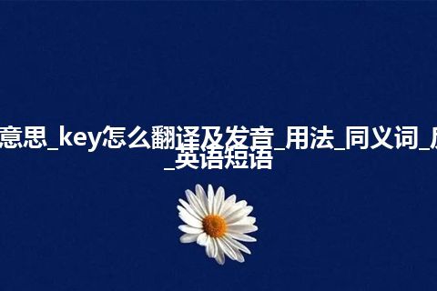 key是什么意思_key怎么翻译及发音_用法_同义词_反义词_例句_英语短语