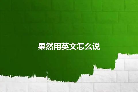 果然用英文怎么说