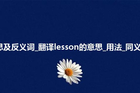 lesson是什么意思及反义词_翻译lesson的意思_用法_同义词_例句_英语短语