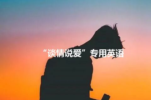 “谈情说爱”专用英语