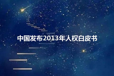 中国发布2013年人权白皮书