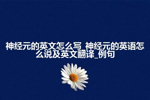 神经元的英文怎么写_神经元的英语怎么说及英文翻译_例句