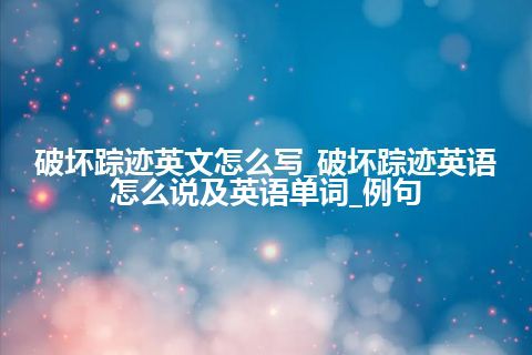 破坏踪迹英文怎么写_破坏踪迹英语怎么说及英语单词_例句