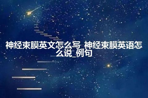 神经束膜英文怎么写_神经束膜英语怎么说_例句