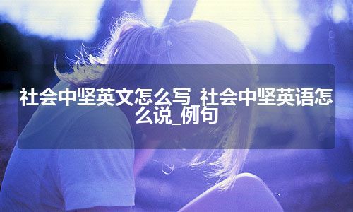 社会中坚英文怎么写_社会中坚英语怎么说_例句