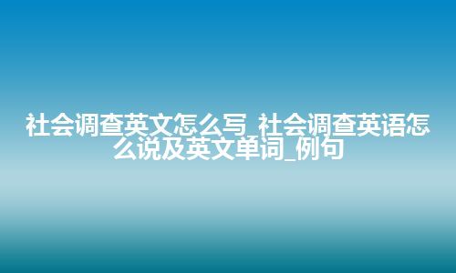 社会调查英文怎么写_社会调查英语怎么说及英文单词_例句