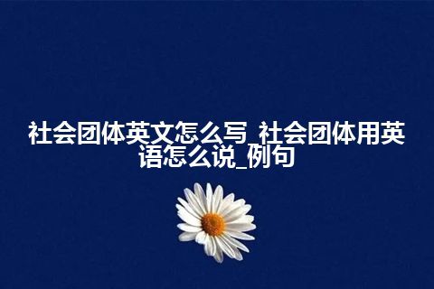 社会团体英文怎么写_社会团体用英语怎么说_例句