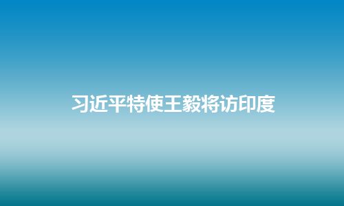 习近平特使王毅将访印度