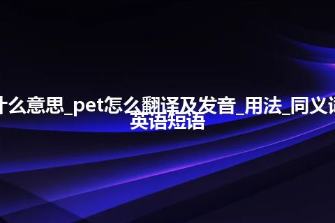 pet是什么意思_pet怎么翻译及发音_用法_同义词_例句_英语短语