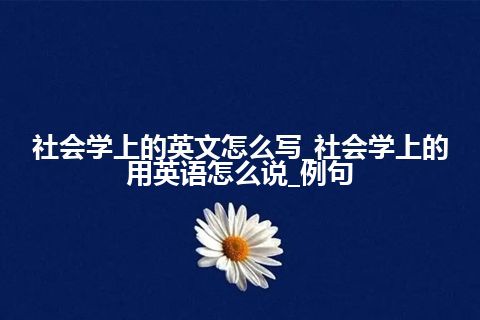 社会学上的英文怎么写_社会学上的用英语怎么说_例句