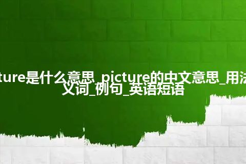 picture是什么意思_picture的中文意思_用法_同义词_例句_英语短语