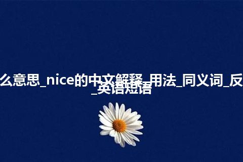 nice是什么意思_nice的中文解释_用法_同义词_反义词_例句_英语短语