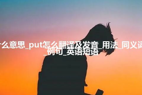 put是什么意思_put怎么翻译及发音_用法_同义词_反义词_例句_英语短语