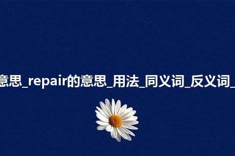 repair是什么意思_repair的意思_用法_同义词_反义词_例句_英语短语