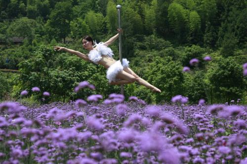 女子花海中跳钢管舞